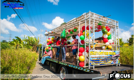 Crazy Ants Carwash Christmas 2022